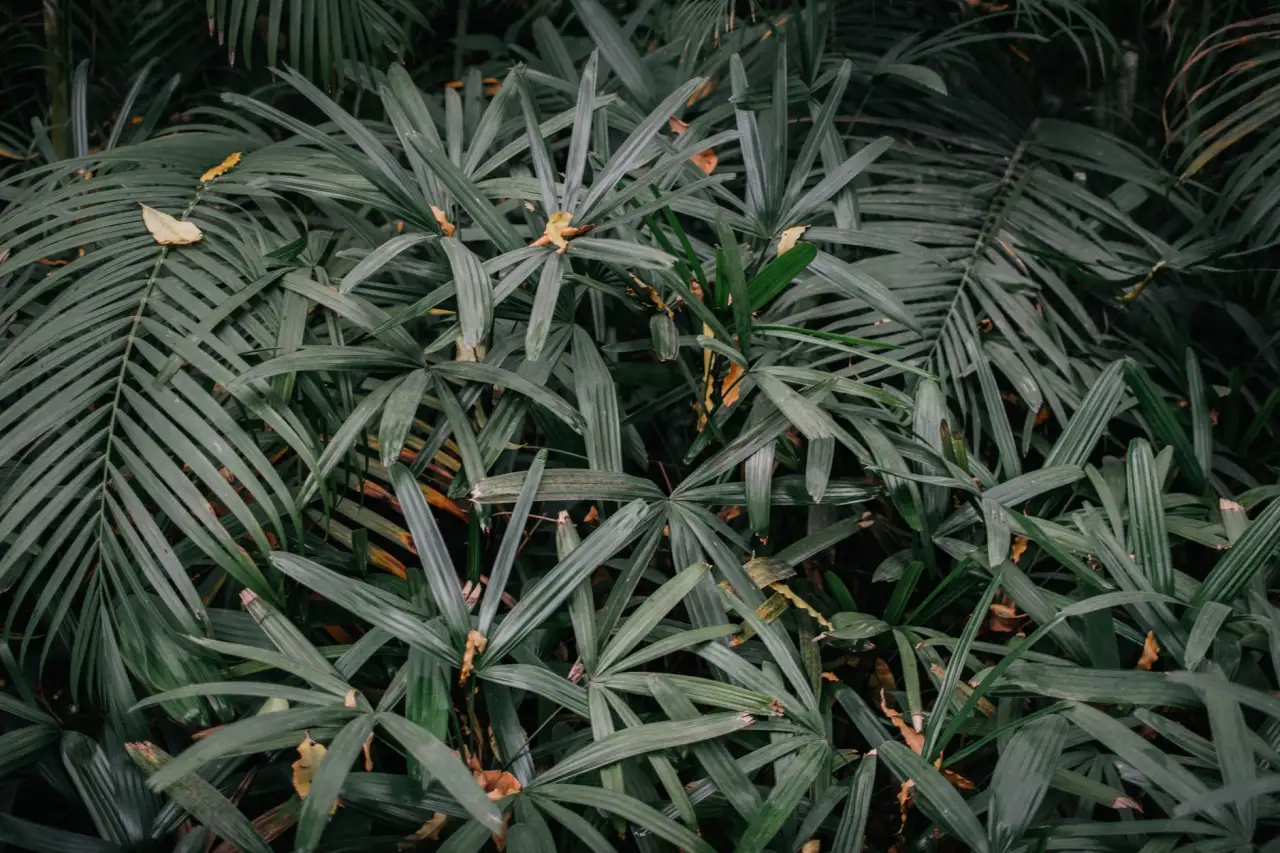 夫达工艺木质工艺品与市场同类产品对比分析